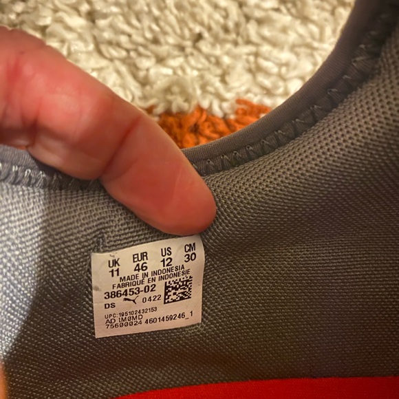 Pumas - Picture 3 of 4